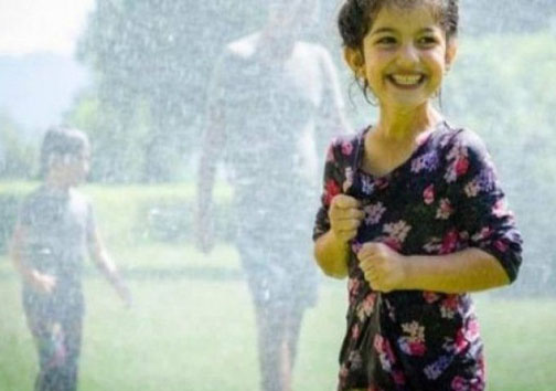 اخراج از پورشه به دلیل آرزوی مرگ برای پناهجویان