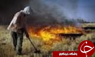 کشاورزان قزوینی بقایای محصولات خود را نسوزانند