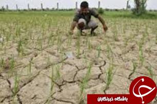 باز هم بی آبی بیداد می کند