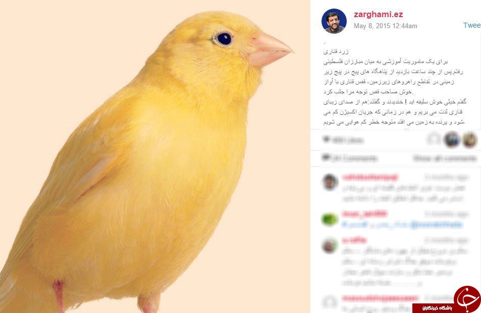 پدیده اینستاگرام در ایران + تصاویر