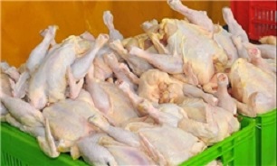 صادرات 90 تنی گوشت مرغ به عراق