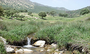 تشکیل بزرگترین زنجیره انسانی حفاظت از جنگلهای زاگرس در لرستان