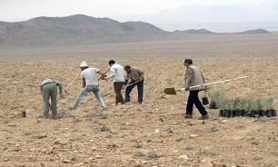 بیابان زدایی محور توسعه ملی در استان قم