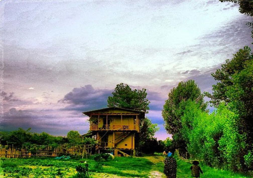 تصاویری از چوپانی که در اینستاگرام بیش از ۳۰ هزار فالور دارد/ من &laquo;یک دهاتی بی سواد کشاورز و چوپان&raquo; هستم!