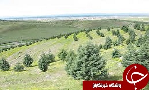 احداث پارک جنگلی 86 هکتاری درآبیک