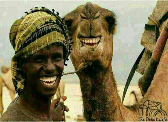 سلفی با حیوانات + عکس