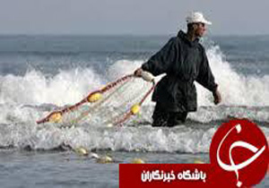 کشف بیش از 1600 رشته انواع دام در آبهای ساحل مازندران