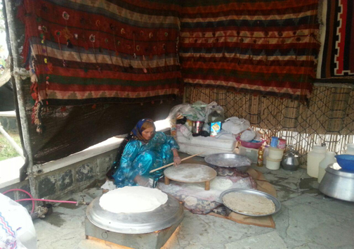 آغاز به کار نخستین جشنواره بین المللی غذای کشورهای عضو اکو-جاده ابریشم در زنجان