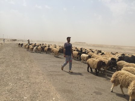 فرار خانواده های عراقی از جهنم سیاه داعش در جنوب کرکوک +تصاویر