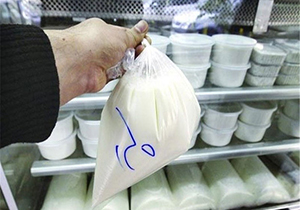 آماده‌باش ۴ دستگاه برای توقف فروش لبنیات سنتی