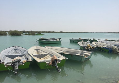 یک گنج شگفت&zwnj;انگیر در خلیج فارس+تصاویر
