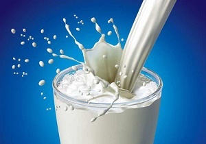 شیر سنتی همان شیرهای برگشتی کارخانه است/ گرانی لبنیات عامل افزایش خرید محصولات سنتی