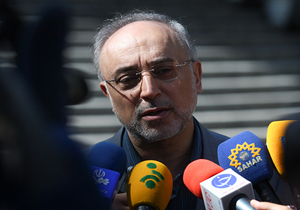 ایستادگی در برابر استکبار جهانی به پشتوانه بسیج و ملت ایران بود