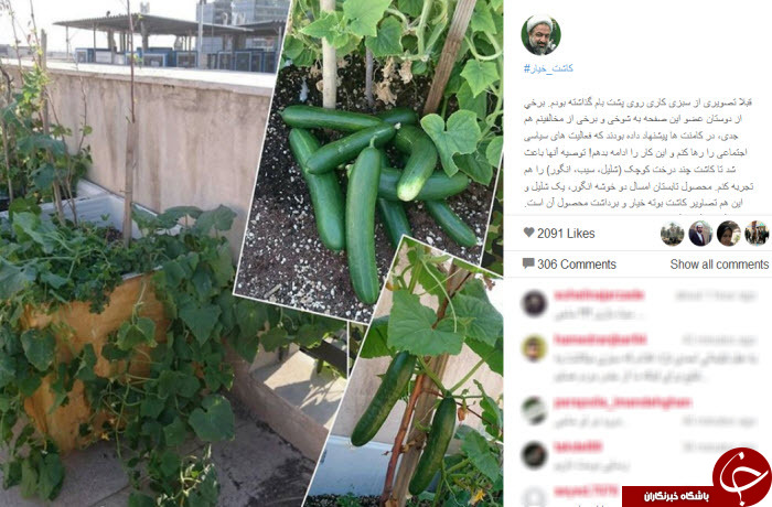 اینستاگردی