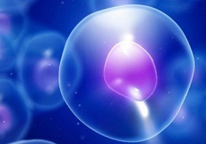 برنده جایزه رویان: درمان عوارض پوستی با سلول‌های بنیادی توسط محققان ایرانی