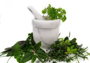 عروسک‌های گیاهان دارویی رونمایی شدند