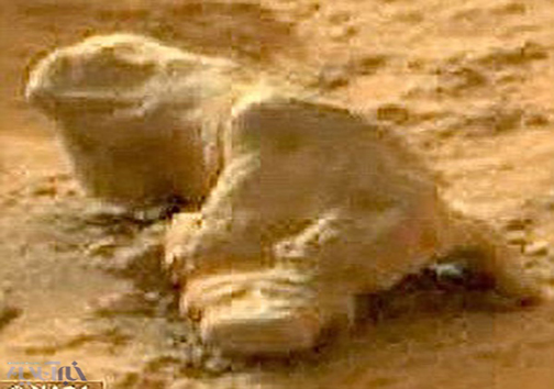 همه عکس&zwnj;های مریخ که جنجالی شدند