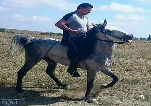 سوارکاری علی دایی