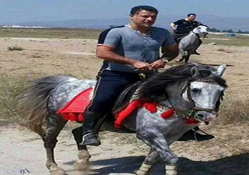 سوارکاری علی دایی