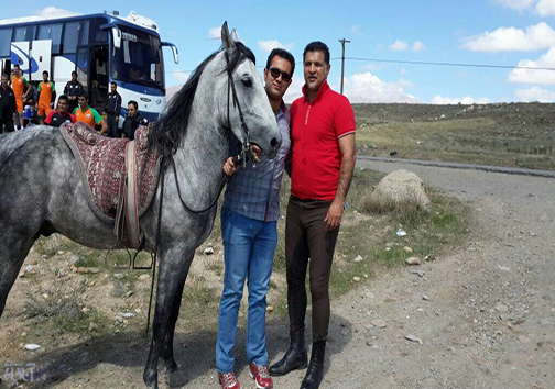 سوارکاری علی دایی
