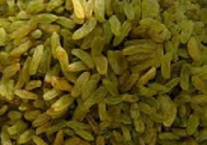 صادرات کشمش جایگزینی برای صادرات نفت
