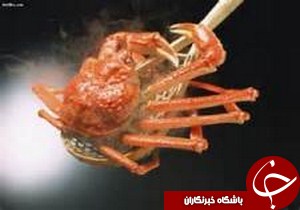 صدور بیش از 1000 کیلوگرم خرچنگ خوراکی به خارج کشور