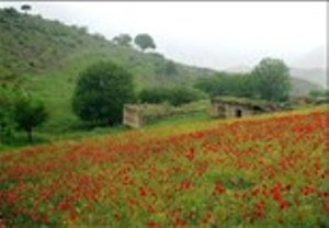 پتانسیل های توسعه ای شهرستان اهر در جذب گردشگر