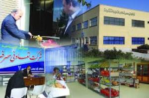 500 تعاونی در خراسان جنوبی تعیین تکلیف می شوند