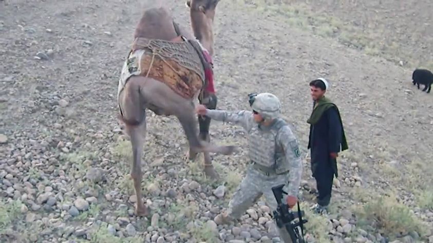 جفتک شتر به سرباز آمریکایی + عکس