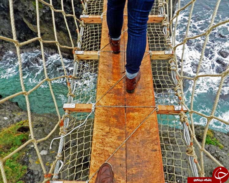 پل هایی برای جریان بیشتر آدرنالین + تصاویر