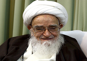 دیدار دبیر مجمع تشخیص نظام با آیت الله صافی گلپایگانی