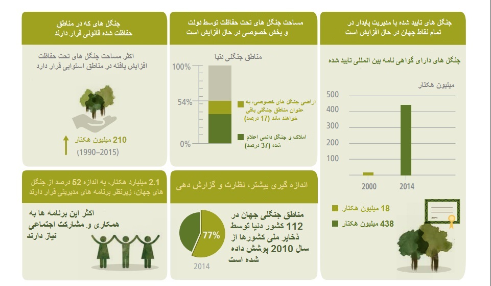 جنگل&zwnj;های مصنوعی، دنیا را فرا می&zwnj;گیرد؟