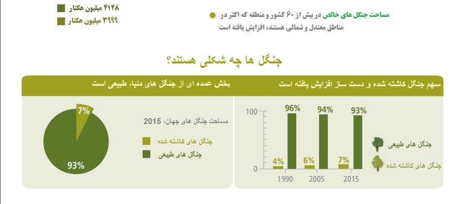جنگل&zwnj;های مصنوعی، دنیا را فرا می&zwnj;گیرد؟