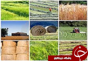 بهره برداری از65 طرح کشاورزی در قزوین