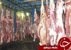 کشف 500 کیلو ضایعات دامی غیرمجاز در آبیک قزوین