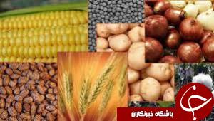 خرید تضمینی بیش از 700 هزار تن محصولات کشاورزی
