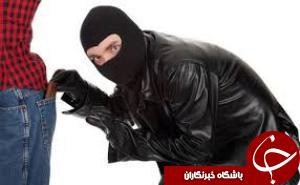 سارقان حرفه ای در بند قانون