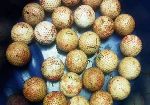 در معده این سگ همه چیز پیدا می شود به جز غذا !