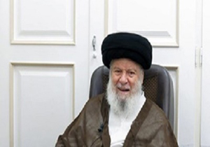 پاسخ آیت الله موسوی اردبیلی به پرسشی درباره کمپین تحریم خرید خودرو
