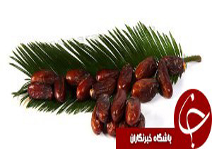 تعاون روستايی برای خرید خرما اعلام آمادگی کرد