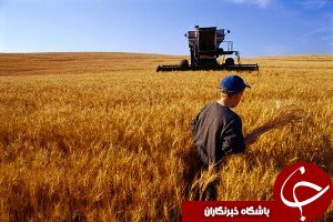 آغاز پرداخت تسهيلات بانكی به كشاورزان انديمشكی