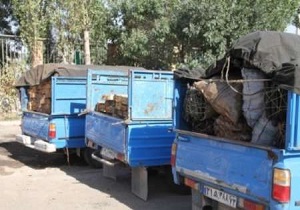 300 اصله چوب قاچاق از قاچاقچیان کشف و ضبط شد