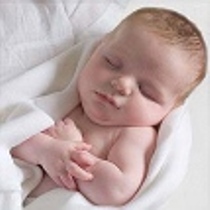 افزایش آمار ولادت دراستان آذربایجان شرقی