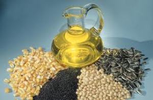 اجرای طرح افزایش تولید دانه‌های روغنی در آذربایجان شرقی