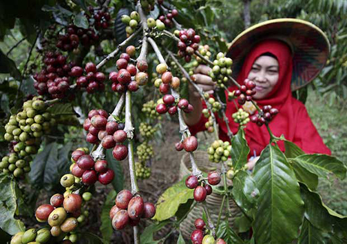 عجیب ترین غذاهای سراسر دنیا + تصاویر