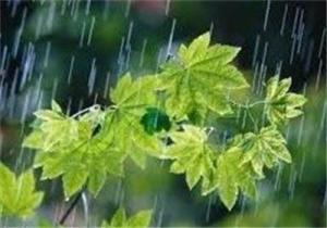 بارش باران شدید همراه با رعد و برق در علی آباد کتول