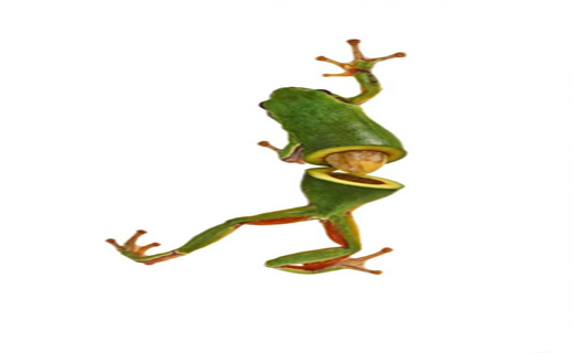 خوشمزه ترین حیوانات+تصاویر