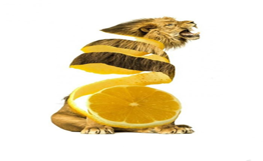 خوشمزه ترین حیوانات+تصاویر