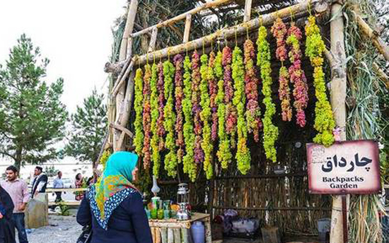 عکس؛ شکوه دانه های انگور در جشنواره ارومیه