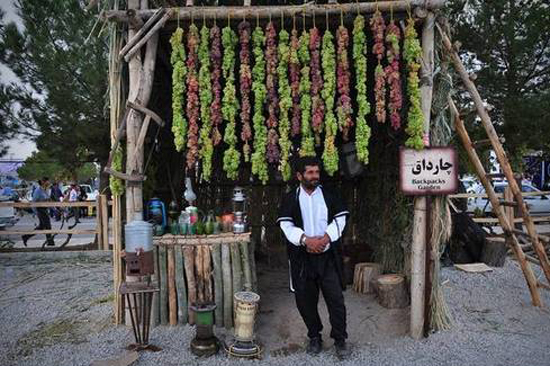عکس؛ شکوه دانه های انگور در جشنواره ارومیه